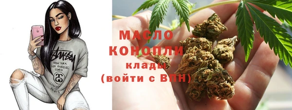 индика Беломорск