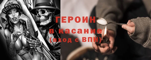 индика Беломорск