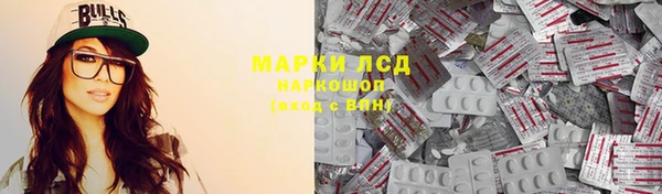 ГАЛЛЮЦИНОГЕННЫЕ ГРИБЫ Белокуриха