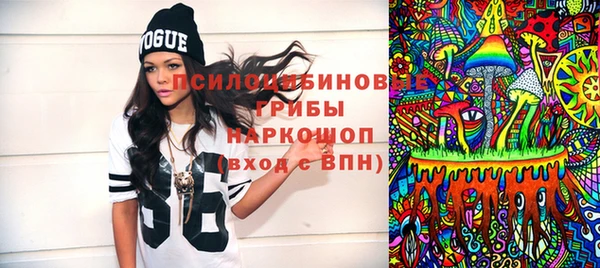 индика Беломорск