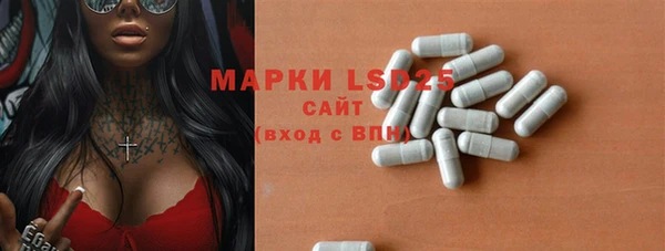 индика Беломорск
