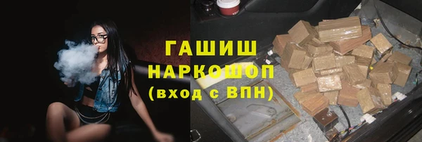 индика Беломорск