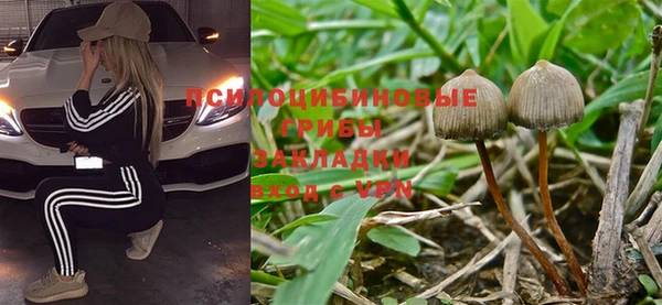 ГАЛЛЮЦИНОГЕННЫЕ ГРИБЫ Белокуриха