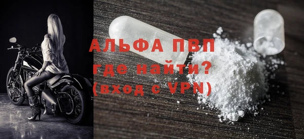 индика Беломорск