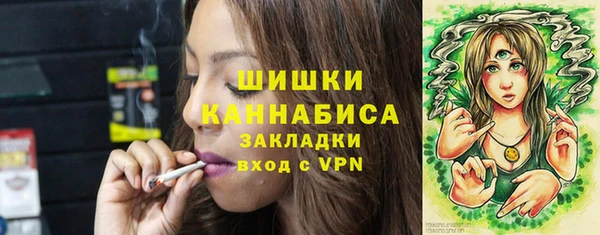 индика Беломорск