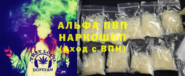 индика Беломорск